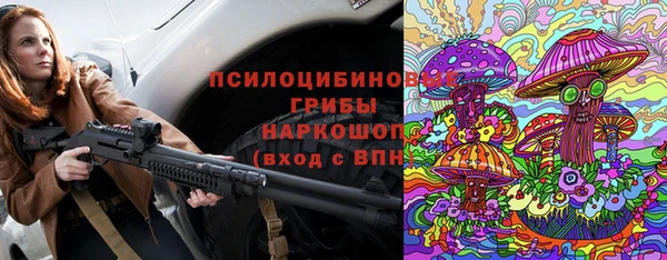 apvp Пересвет