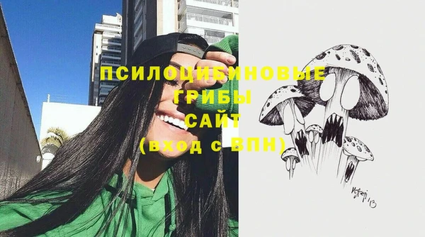 apvp Пересвет
