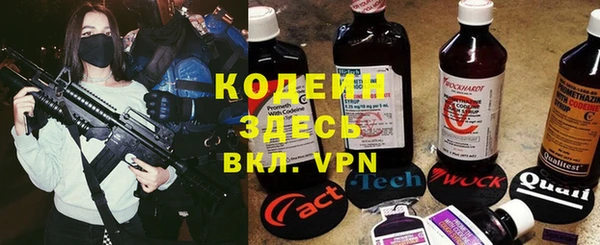 крисы Заводоуковск