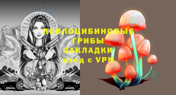 трава Заволжск