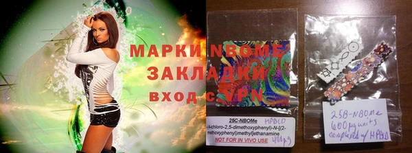 крисы Заводоуковск