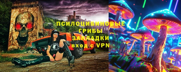 крисы Заводоуковск
